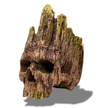 Load image into Gallery viewer, Dead Wood
