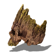 Load image into Gallery viewer, Dead Wood
