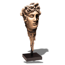 Load image into Gallery viewer, Medusa (Sandstone)
