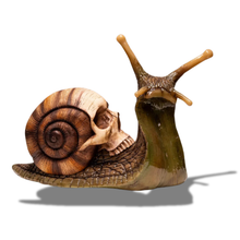 Load image into Gallery viewer, Snail Skull
