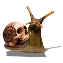 Load image into Gallery viewer, Snail Skull
