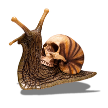 Load image into Gallery viewer, Snail Skull
