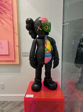 Load image into Gallery viewer, Four Foot Dissected Companion (Black)

