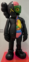 Load image into Gallery viewer, Four Foot Dissected Companion (Black)
